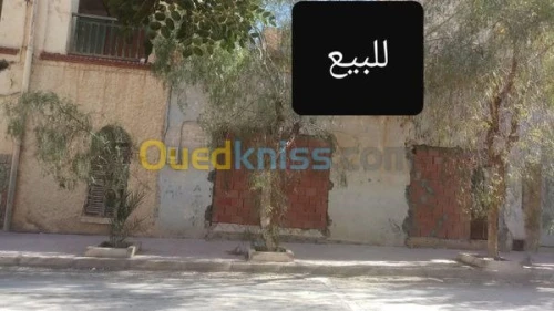 Vente Carcasse Msila Bou saada