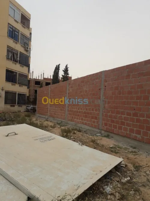 Vente Terrain Batna Tazoult