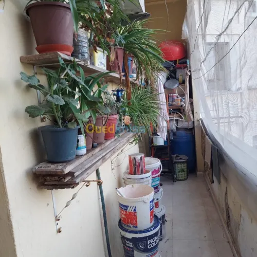 Vente Appartement F5 Oran Oran