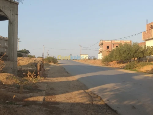 Vente Appartement F4 Chlef Sobha