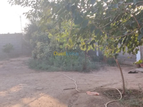 Vente Appartement F4 Chlef Sobha