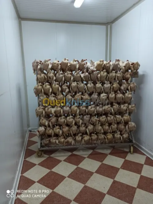 بيع و تركيب غرف التبريد chambre froide 