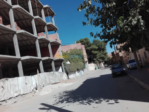 Vente Carcasse Djelfa Djelfa