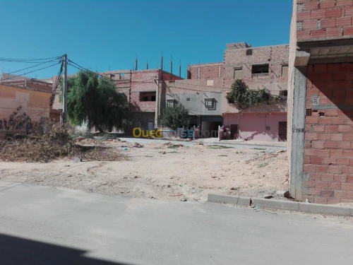 Vente Terrain Djelfa Djelfa