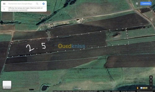 Vente Terrain Boumerdes Djinet