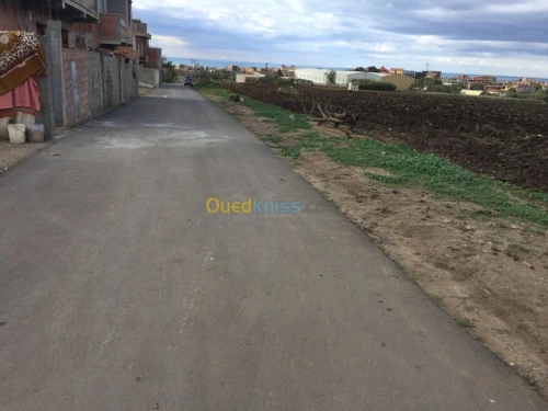 Vente Terrain Boumerdes Djinet