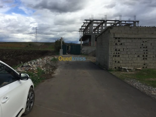 Vente Terrain Boumerdes Djinet