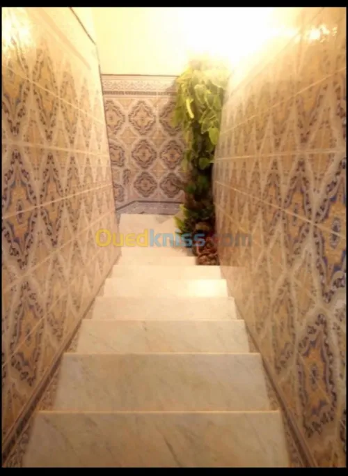 Vente Appartement Adrar Timimoun