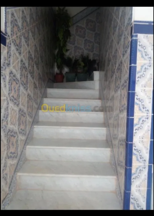 Vente Appartement Adrar Timimoun