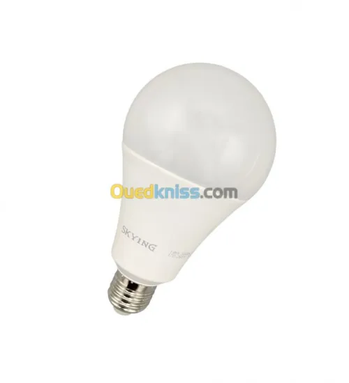 Lampe LED BOWLING & Filament BMS