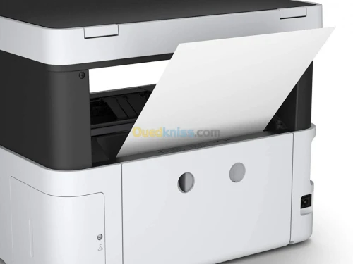 EPSON ECOTANK M2170 - IMPRIMANTE MULTIFONCTION MONOCHROME A RESERVOIR JET D ENCRE - A4 - USB