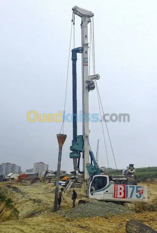 Fourrage des pieux et micropieux