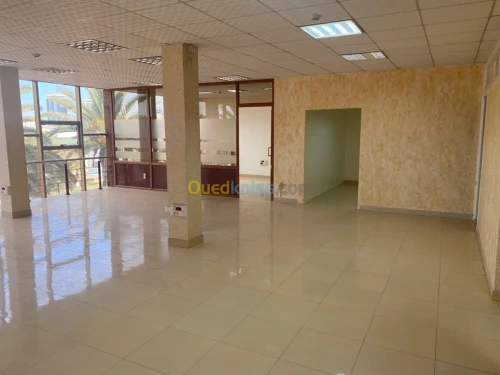 Location Immeuble Alger Bab ezzouar