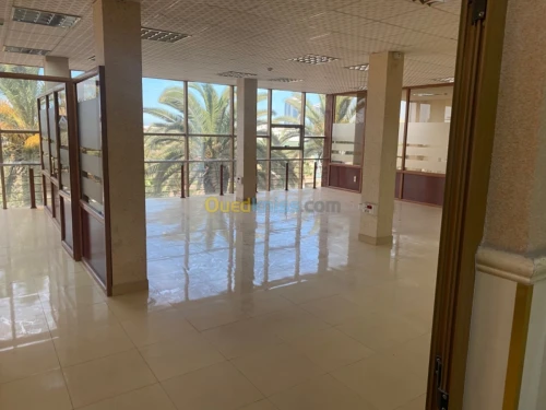 Location Immeuble Alger Bab ezzouar