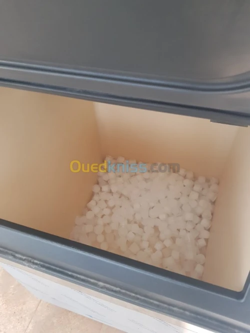Fabrique de glaçons et glace ecaillée 