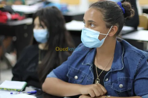 Languages Trainings Translation 