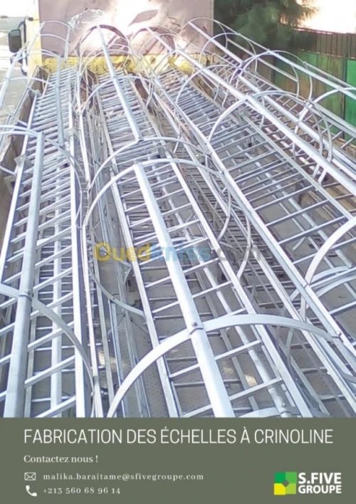ECHELLES A CRINOLINE