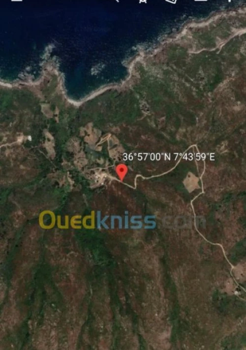 Vente Terrain Annaba Annaba