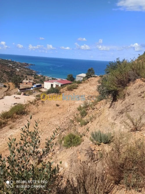 Vente Terrain Bejaia Toudja