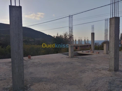 Vente Carcasse Tipaza Larhat