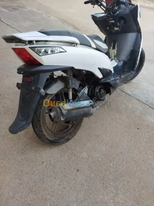 OMG sport city 2013  Omg