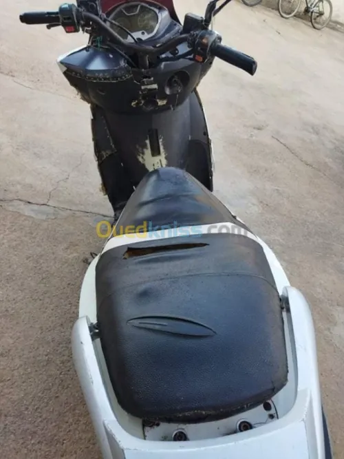 OMG sport city 2013  Omg