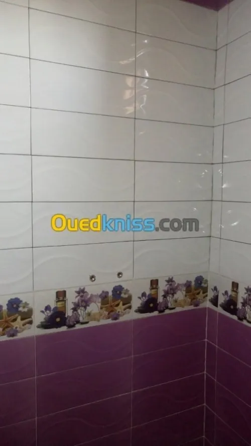 Maçon et  PVC  et tou les travaux f