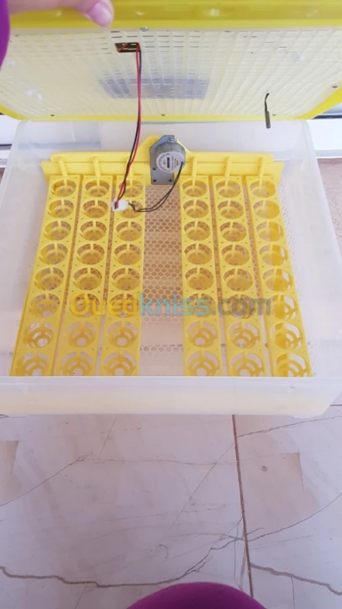 Couveuse oeuf automatique 