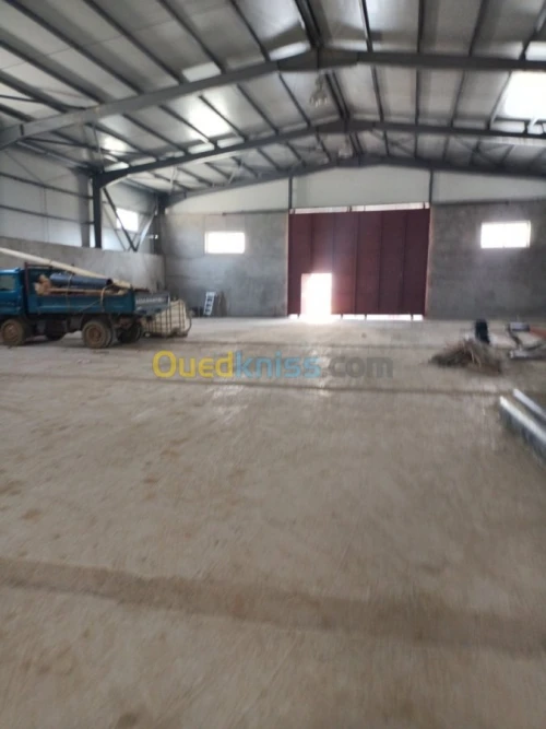 Location Hangar Alger Douera