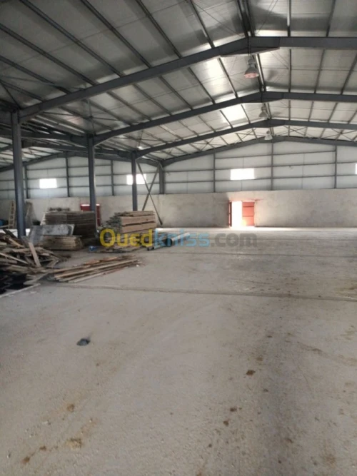 Location Hangar Alger Douera