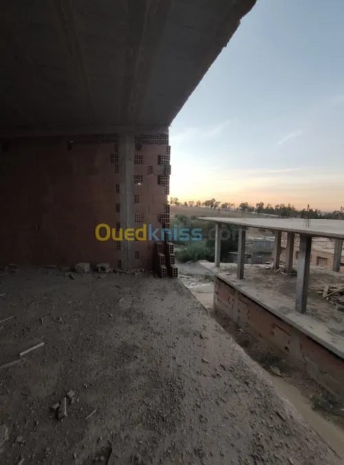 Vente Carcasse Tlemcen Tlemcen