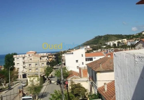 Vente Carcasse Tipaza Damous