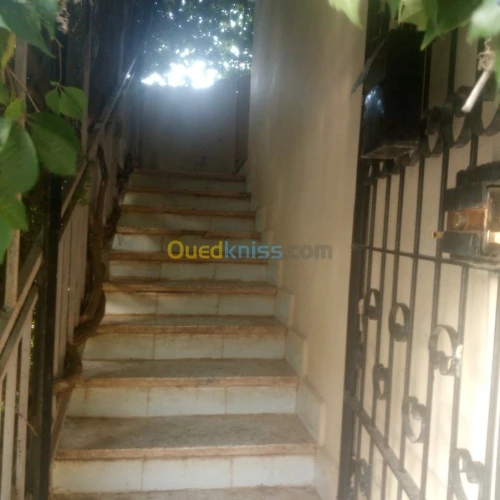 Vente Duplex F4 Sidi bel abbes Sidi bel abbes