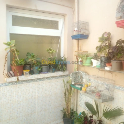 Vente Duplex F4 Sidi bel abbes Sidi bel abbes