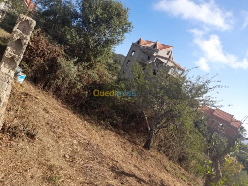Vente Terrain Tizi ouzou Mizrana