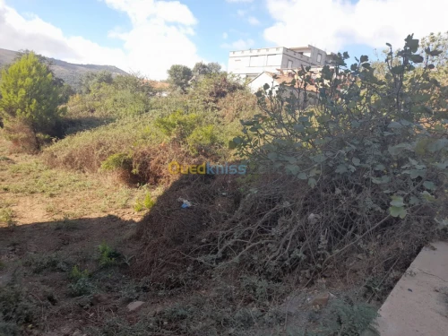 Vente Terrain Tizi ouzou Mizrana