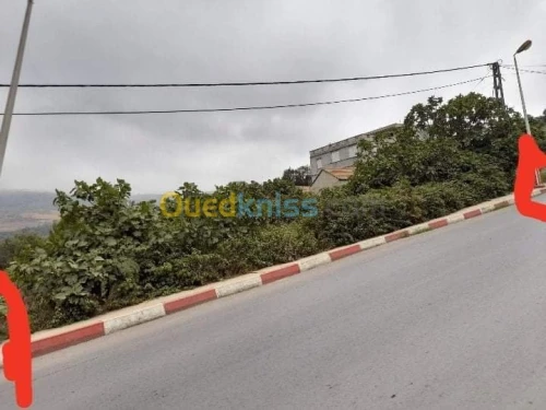 Vente Terrain Tizi ouzou Mizrana