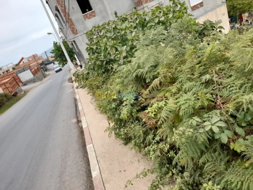 Vente Terrain Tizi ouzou Mizrana