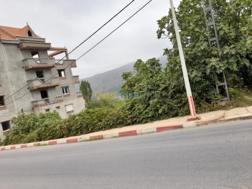 Vente Terrain Tizi ouzou Mizrana