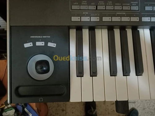 Korg pa3x
