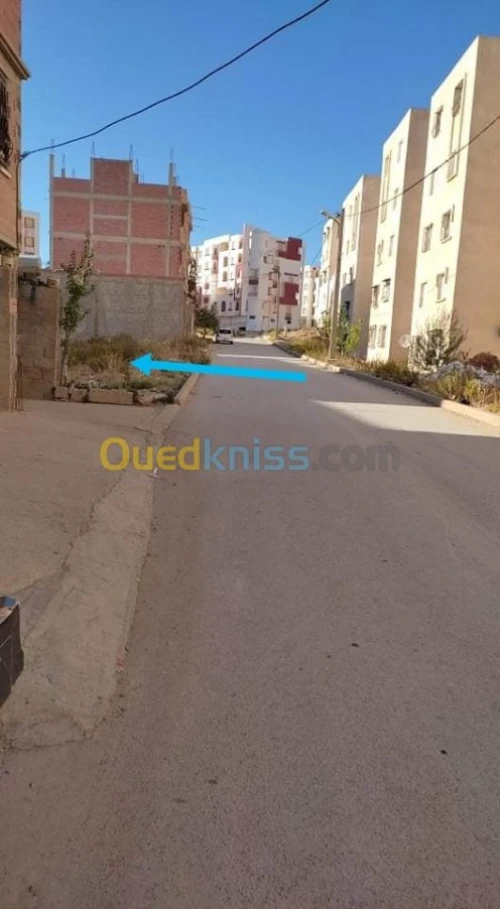Vente Terrain Mila Ferdjioua
