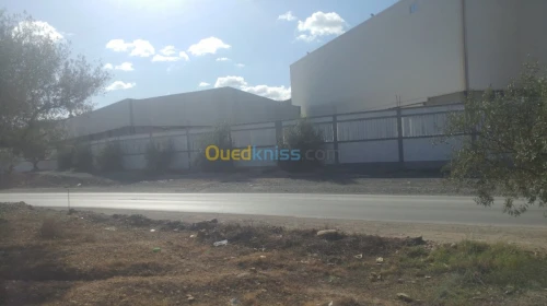 Vente Terrain Bejaia Boudjellil