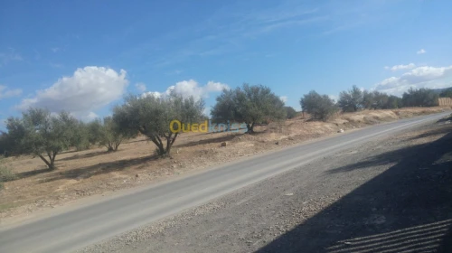 Vente Terrain Bejaia Boudjellil