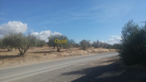 Vente Terrain Bejaia Boudjellil