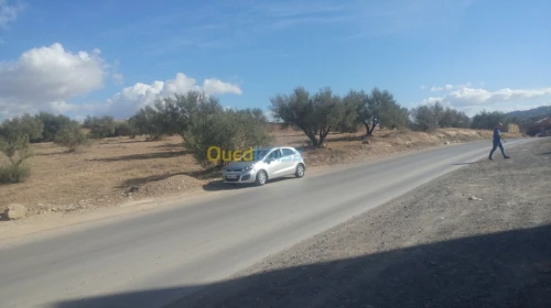 Vente Terrain Bejaia Boudjellil