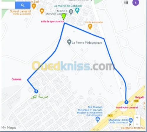  تدريس  أحكام تلاوة القرآن الكريم 