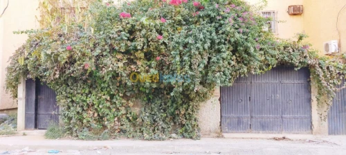Vente Appartement F4 Msila Msila