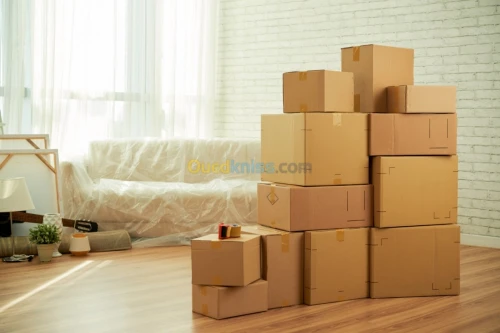  Fabrication Carton Ondulé صناعة الكرتون 