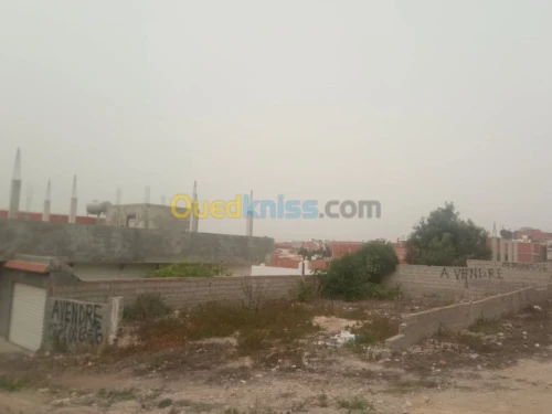 Vente Terrain Tlemcen Marsa ben mhidi