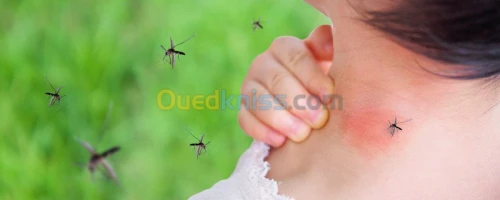 Nettoyage Et Eradication Des Nuisibles